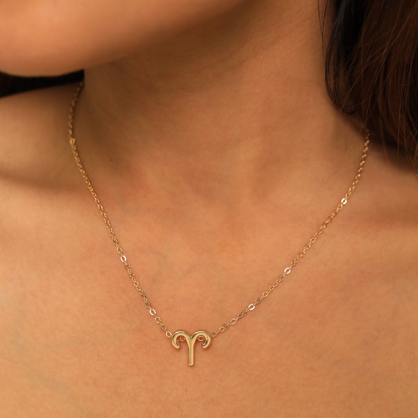 Zodiac Sign Pendant Necklaces