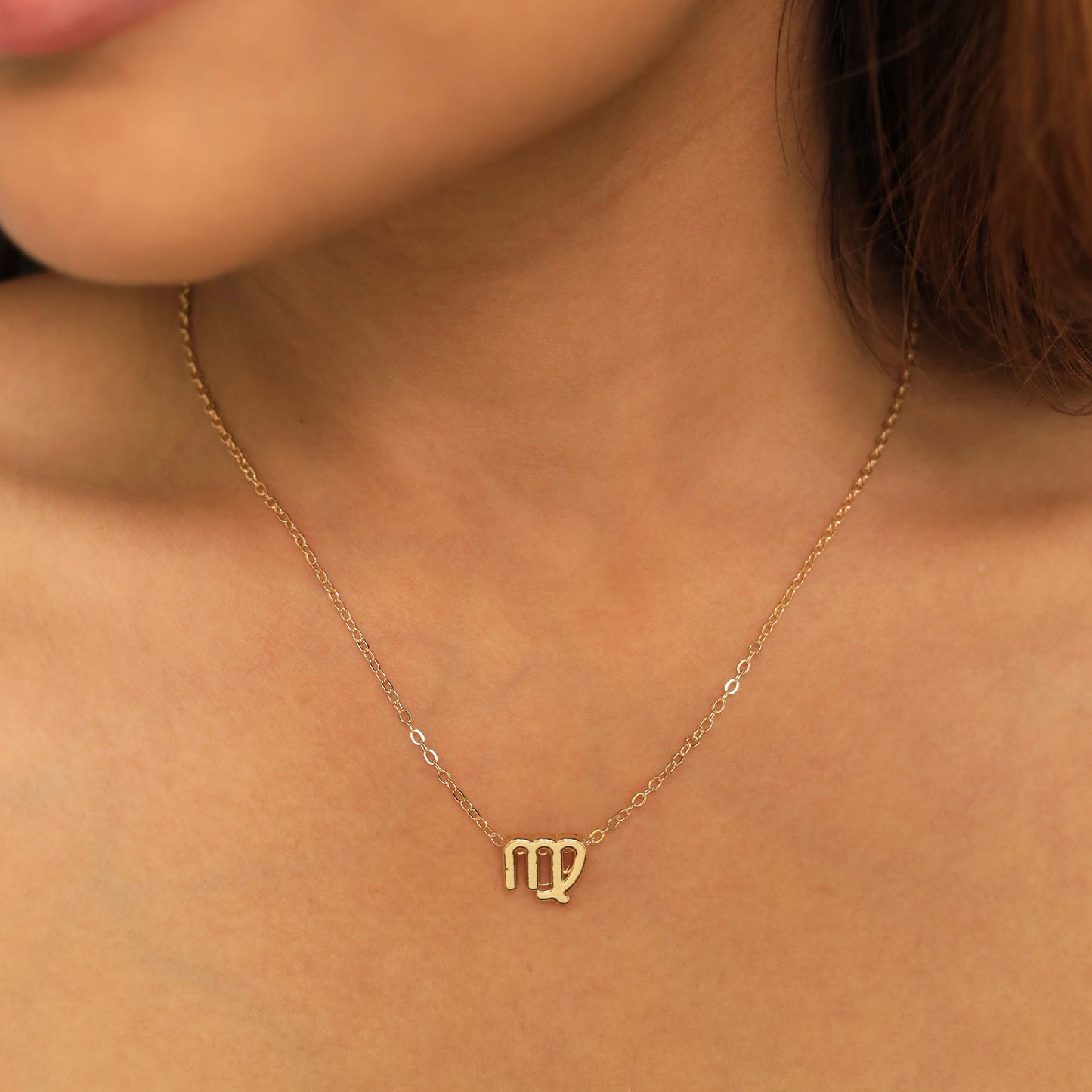 Zodiac Sign Pendant Necklaces